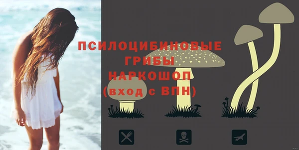 мяу мяу кристалл Верея