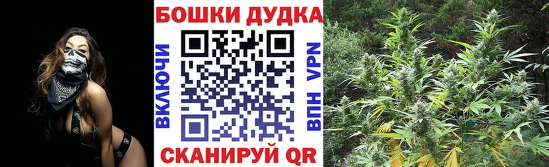 Конопля AK-47  OMG рабочий сайт  Владикавказ 